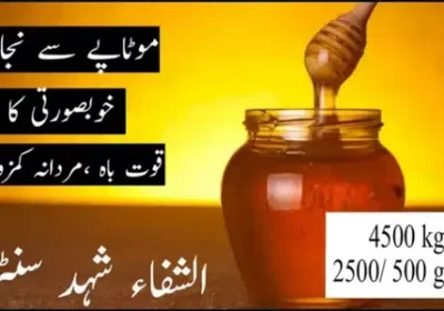 239689554-400×300-1