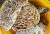 Al shifa natural honey /الشفاءقدرتی شہد