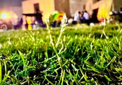 88EEA9F0-C2B0-47DD-91B2-4E30E152A439