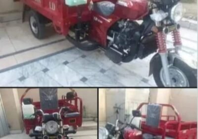 FB_IMG_4552792283633948247