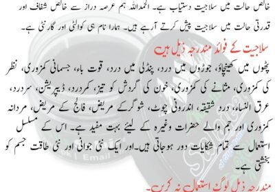 portrait-1665250135487