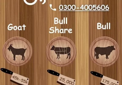 365831630-800×600-1