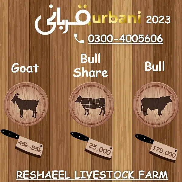 Qurbani 2023