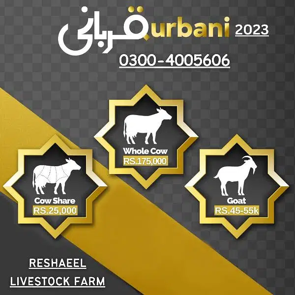 Qurbani 2023