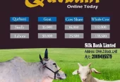 Qurbani 2023