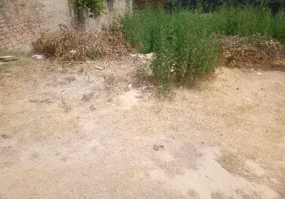 366488169-800×600-1