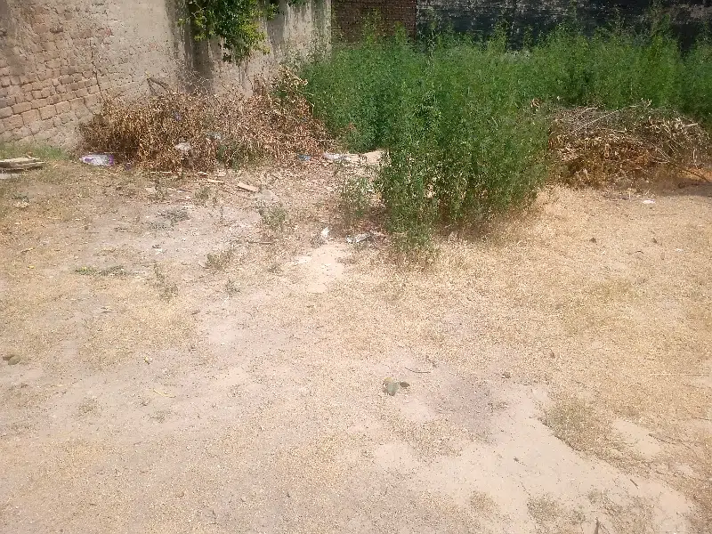 6 Marla Plot Available For Sale In Sherzaman Colony Tulsa Road