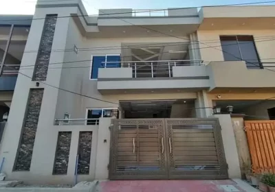 366488425-800×600-1