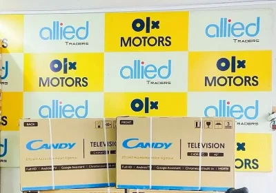 279669166-800×600-2