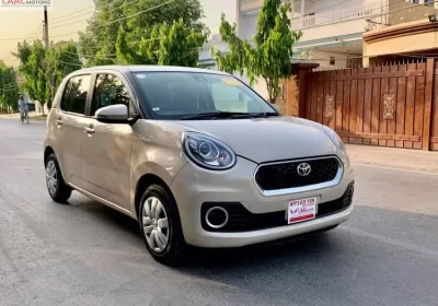 309681132-800×600-1