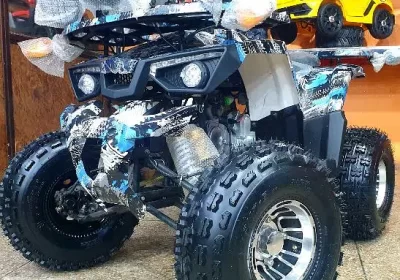 345519213-800×600-1