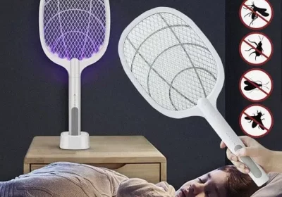 347261913-800×600-1