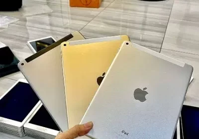 354775359-800×600-1