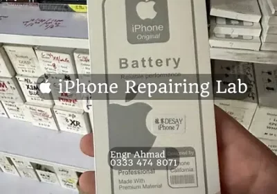 364781036-800×600-1