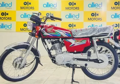 365272292-800×600-1