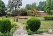 Fully Furnished And Luxury Farm House With Swimming Pool