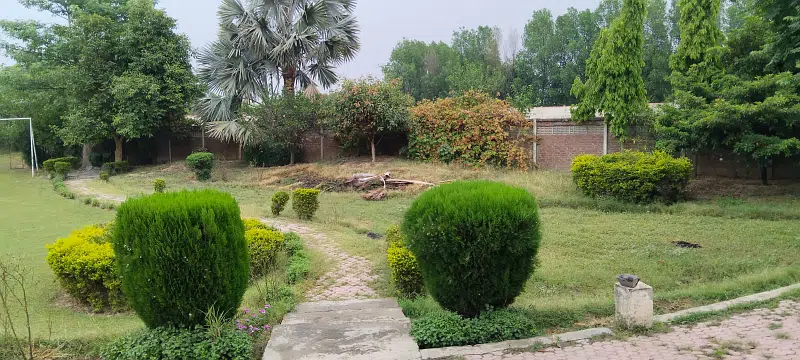 Fully Furnished And Luxury Farm House With Swimming Pool