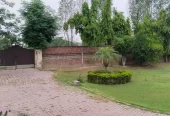 Fully Furnished And Luxury Farm House With Swimming Pool