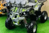 4 by 4 Atv Quad Automatic Petrol Off Road Mountain Desert Quard