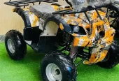 4 by 4 Atv Quad Automatic Petrol Off Road Mountain Desert Quard