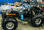4 by 4 Atv Quad Automatic Petrol Off Road Mountain Desert Quard