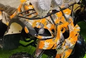 4 by 4 Atv Quad Automatic Petrol Off Road Mountain Desert Quard