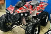 4 by 4 Atv Quad Automatic Petrol Off Road Mountain Desert Quard