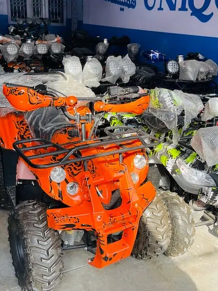 4 by 4 Atv Quad Automatic Petrol Off Road Mountain Desert Quard