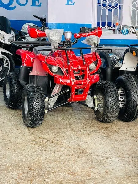 4 by 4 Atv Quad Automatic Petrol Off Road Mountain Desert Quard