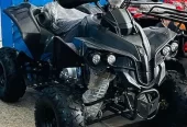 4 by 4 Atv Quad Automatic Petrol Off Road Mountain Desert Quard