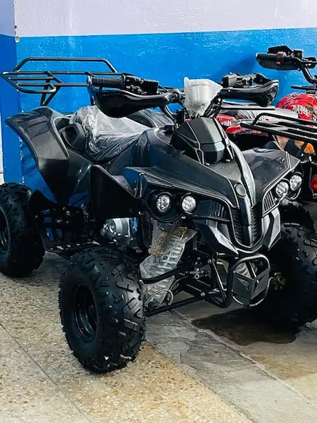 4 by 4 Atv Quad Automatic Petrol Off Road Mountain Desert Quard