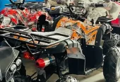 4 by 4 Atv Quad Automatic Petrol Off Road Mountain Desert Quard