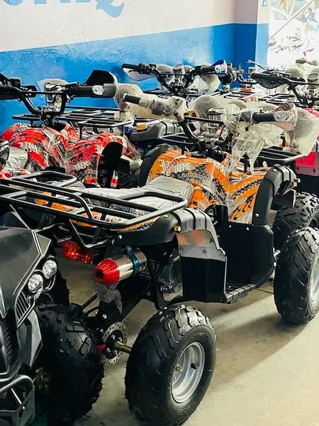 4 by 4 Atv Quad Automatic Petrol Off Road Mountain Desert Quard