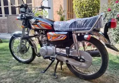 367853907-800×600-1