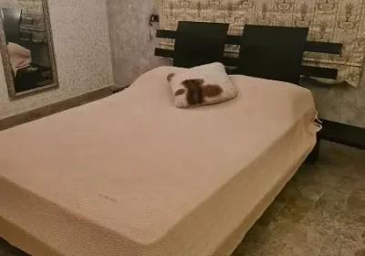 368153958-800×600-1