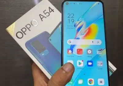 368269034-800×600-1