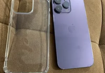 368287604-800×600-1