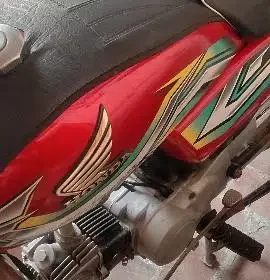 368615445-800×600-1