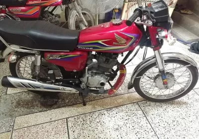 369155524-800×600-1