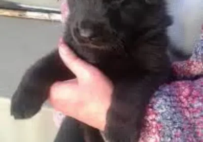 369497468-800×600-1