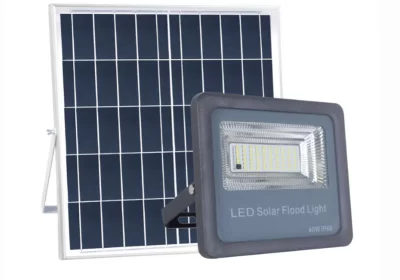 369516939-800×600-1