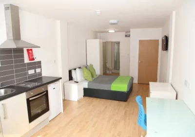 370554990-800×600-1