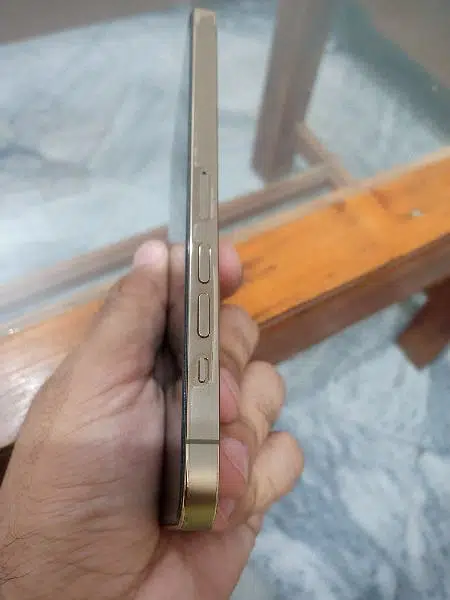 IPhone 13 Pro Max 128GB LLA Gold