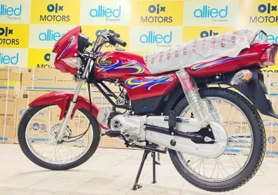 371338917-800×600-1