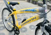 brand New godwin MTB full size 26inch urjent sell