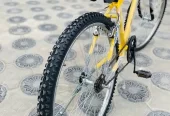 brand New godwin MTB full size 26inch urjent sell