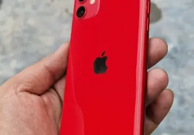 372935268-800×600-1