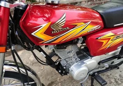 373051174-800×600-1