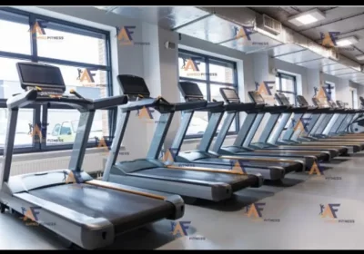 373165328-800×600-1