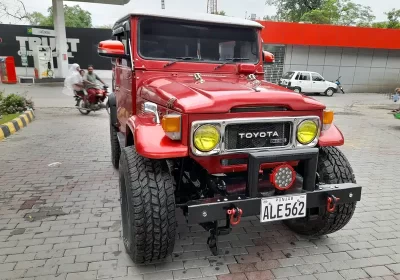 373574852-800×600-1